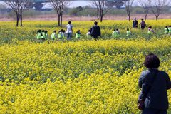 낮 최고 25도까지 올라 '포근'…큰 일교차 주의[내일날씨]