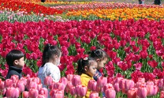 전국 대체로 맑고 포근…금요일 남부·제주 비[다음주 날씨]