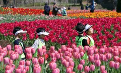 부산, 구름 많은 날씨…낮 최고기온 20도