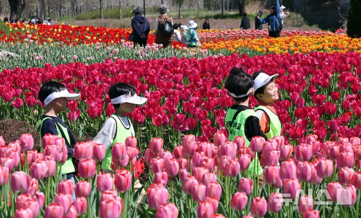 부산, 구름 많은 날씨…낮 최고기온 20도