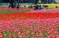 부산, 아침까지 5㎜ 미만 비 내리다 오후부터 맑아져