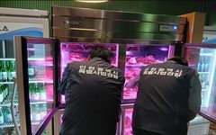 인천시, 봄철 먹거리 안전 기획수사…4곳 검찰 송치