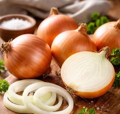 달콤한 국산 조생종 햇양파 본격 출하…생산량 2~3%↑