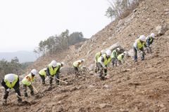 [거창소식]군, 2026년 춘기 조림사업 적기 추진 완료 등