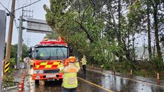 '초속 30m' 제주 강풍에 피해 잇따라…항공기 152편 결항(종합)