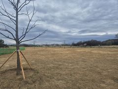 창원시, 대산 파크골프장 90홀+22홀 시설 개선