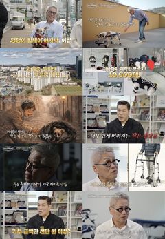 '매출 400억' 前 건설사 대표 "유기견 위해 매달 1000만원 기부"