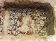 고대 경산 압독국 사람들 '근친혼' 풍습 확인…DNA 분석