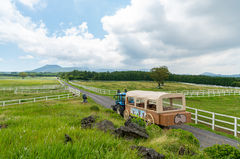 마사회 제주목장 이색 체험 '트랙터 마차 투어' 개시