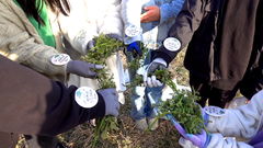 18~19일 '한라산 청정 고사리 축제'…체험에 특산물 판매