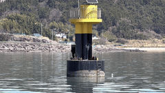 서해해경, 항로표지서 낚시한 낚시객·선장 등 3명 적발