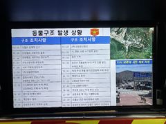 대전 오월드 늑대 탈출 소방 상황판 사진 'AI 조작' 의혹