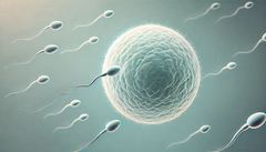 "성욕 감퇴 없이 정자 생성만 일시 중단"…부작용 없는 '남성 피임약' 기대