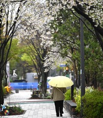 21일 광주·전남 10㎜ 안팎 비 지속