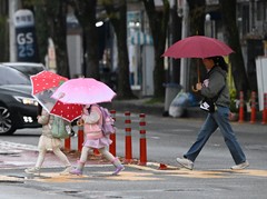 광주·전남 최대 76.5㎜ 비…교통사고·가로수 쓰러짐 잇달아