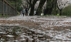 제주 전역 호우특보, 최대 250㎜ 더 온다…강풍도 태풍급