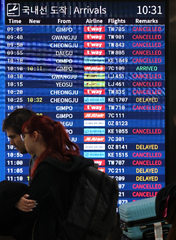 제주에 강풍 동반한 많은 비… 항공기 운항 취소·지연 [뉴시스Pic]