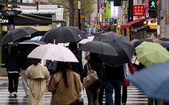대구·경북, 흐리고 최대 40㎜ 비…아침 12도·한낮 22도