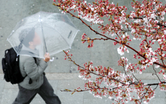 전국 비 낮부터 차차 그쳐…남해안·제주 '집중호우'[오늘날씨]