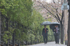 비 대부분 오전에 그쳐…오후부터 맑은 하늘