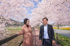 "15km 길 따라 꽃사태" 11~12일 천안위례벚꽃축제