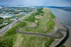 고양시 'DMZ 평화의 길' 장항습지생태 코스 17일 개방