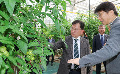 농진청장 "중동發 비용압박 대응…에너지·사료·비료 절감기술 확산 총력"