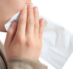 "재채기 했더니, 이게 뭐야"…그리스 女 코안에서 자란 2.5㎝ 애벌레