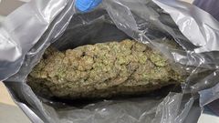 선박으로 대마 636㎏ 밀수 시도…야쿠자 출신 마약사범 구속기소 