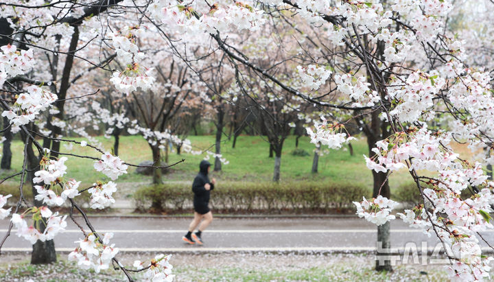 "봄이 왔으니 달려볼까"…러닝 열풍에 급증한 '이 질환'