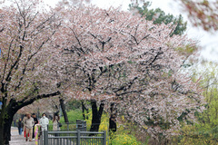 기온 올라 포근…'낮 최고 23도' 일교차 주의[오늘날씨]