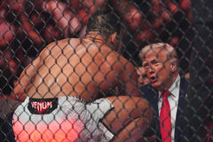 밴스 "합의 실패" 발표 때…트럼프는 UFC 경기장서 '무표정 관람'