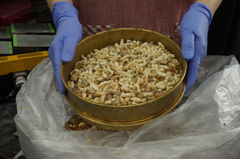 버려지던 수벌번데기, 양봉농가 새로운 소득원으로 변신