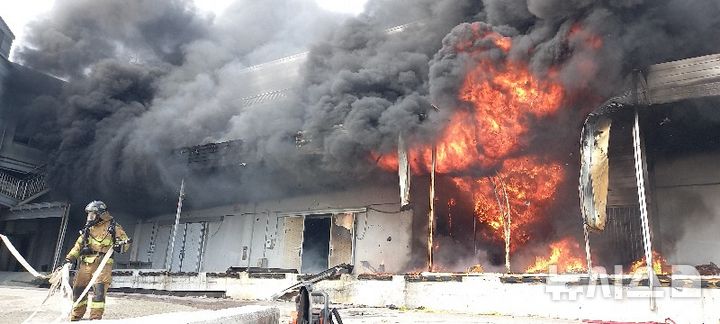 완도 냉동창고서 에폭시 작업 추정 불…소방관 2명 숨져 [뉴시스Pic] 