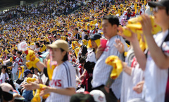 '인기 활활' 프로야구, 역대 최소경기·최소 일수 100만 관중 돌파 [뉴시스Pic] 