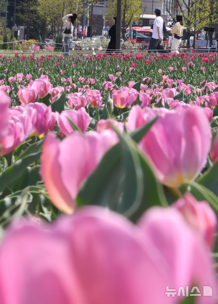 서울 낮 최고 26도까지 올라 '포근'…짙은 안개[오늘날씨]
