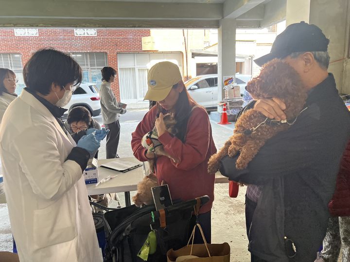 울산 남구, 20~24일 반려동물 광견병 무료 예방접종 