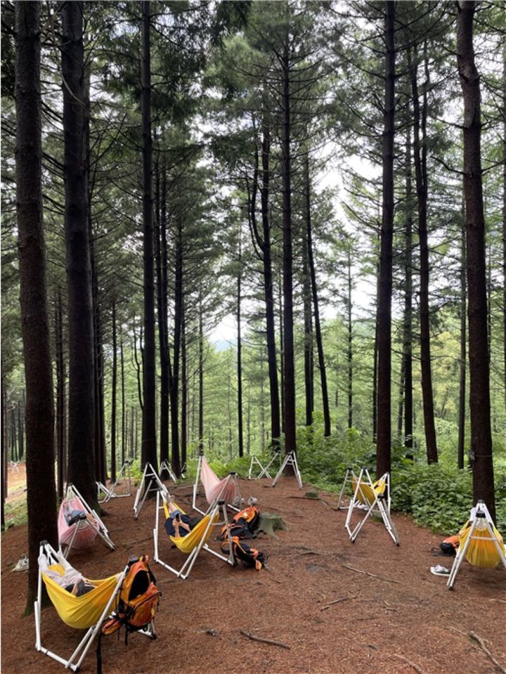 횡성숲체원 '어르신 찾아가고 모셔오는' 산림복지 나선다