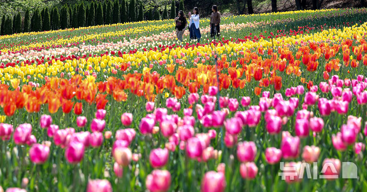 오늘도 초여름 같은 날씨… 17일엔 남부·제주 중심으로 비소식 [뉴시스Pic]