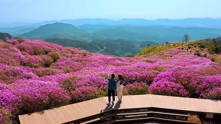철쭉 명소, 이젠 열린 관광지…합천 황매산군립공원