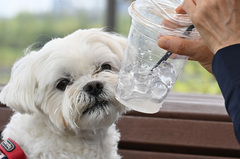 전국에 비 소식…오후부터 황사 유입[내일날씨]