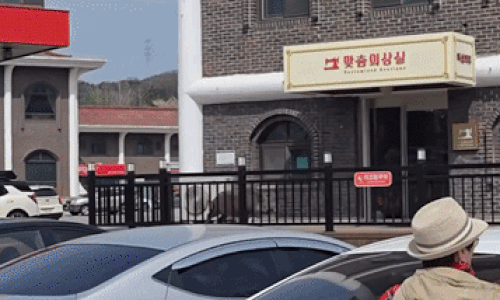 휴게소에 멧돼지 출몰…女화장실 문 '쿵쿵' 위험천만