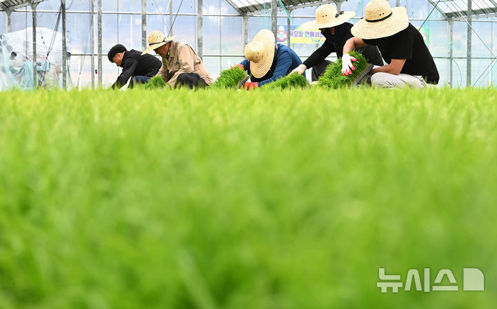 절기상 '곡우' 본격적인 농사철 시작 [뉴시스Pic]