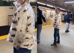 발렌시아가 신상인 줄 알았더니…뉴욕 흔든 '바퀴벌레 패딩'의 진실