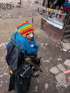 구혜선, 히말라야로 떠났다…"성공하기를"