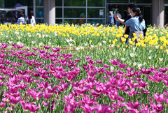 2026 고양국제꽃박람회 개막