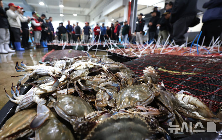 꽃게 철이 왔어요 [뉴시스Pic] 