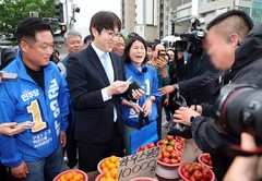 與 '하정우 손털기 논란'에 "한동훈, 성숙한 정치 보여달라"