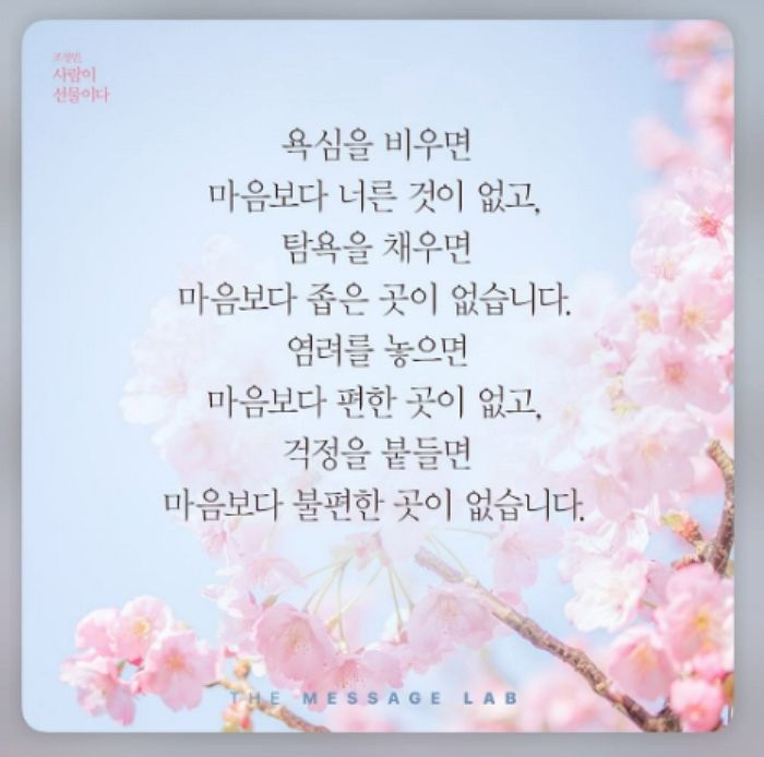 진태현, '이숙캠' 하차 그 후…