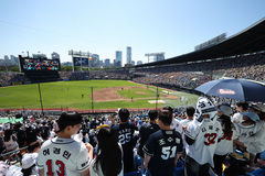 더 뜨거워진 야구 열기…사상 첫 1300만 관중도 보인다[KBO 전반기 결산④]